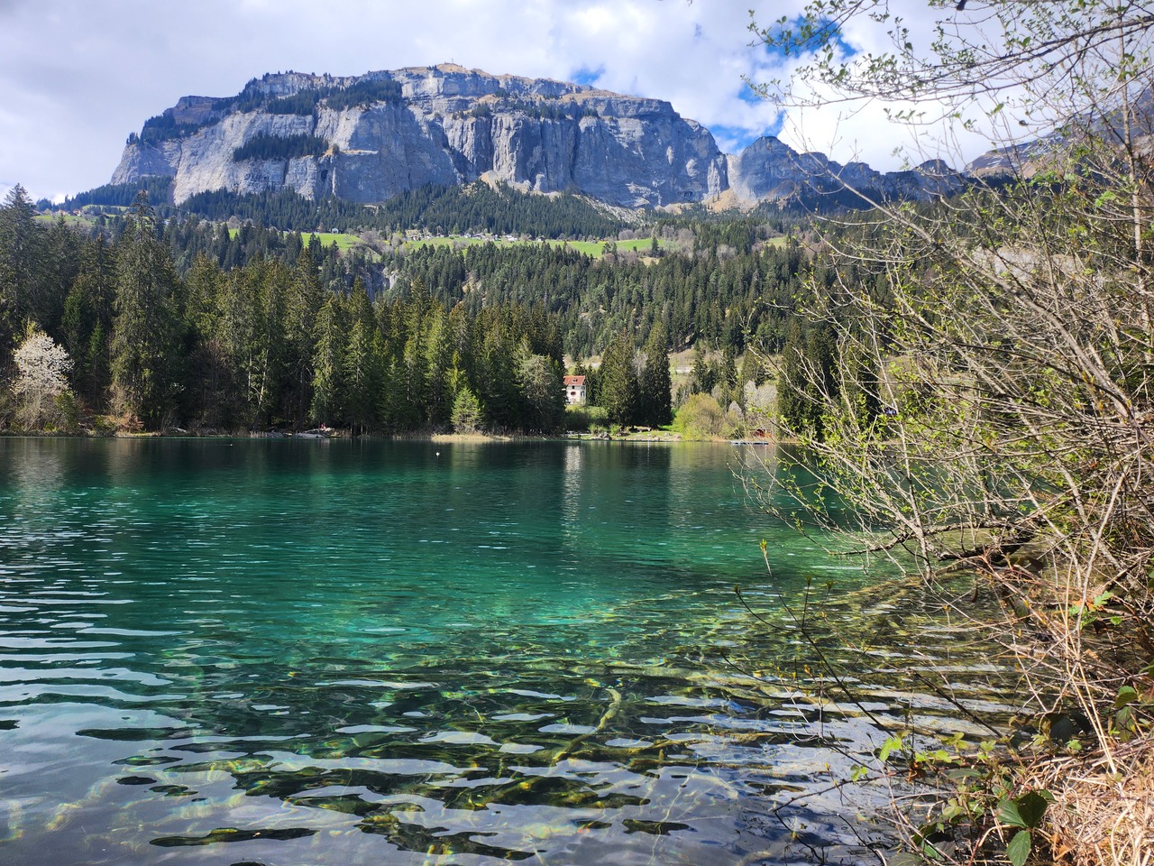 Eröffnungskonzert Oboenquartett